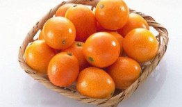 桔子皮肤爆料怎么做视频,揭秘视频制作背后的秘密